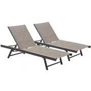Urban Phifer® & Aluminum Lounger Set (2pc) - Granite