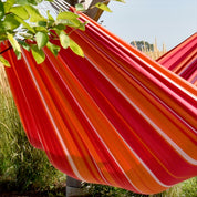 Brazilian Style Cotton Hammock - Mimosa