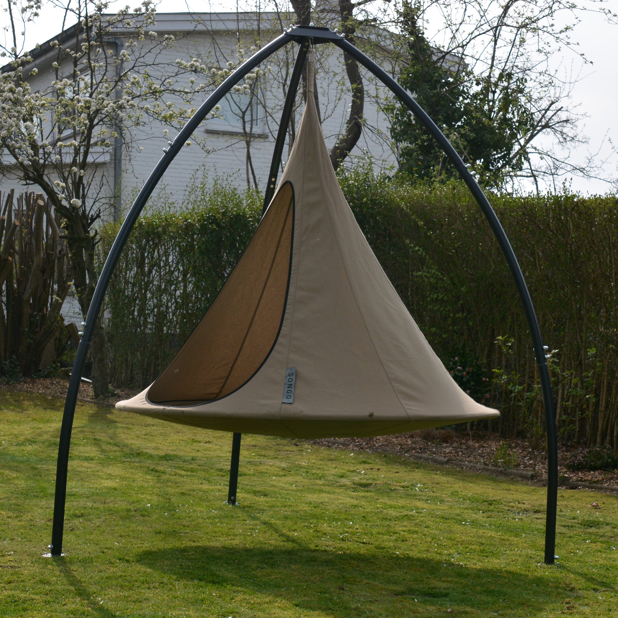 Cacoon Songo