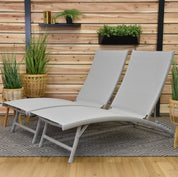 Clearwater Phifer® & Aluminum Lounger Set (2pc) - River Pebble