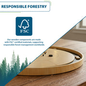 Giant Wooden Dominoes