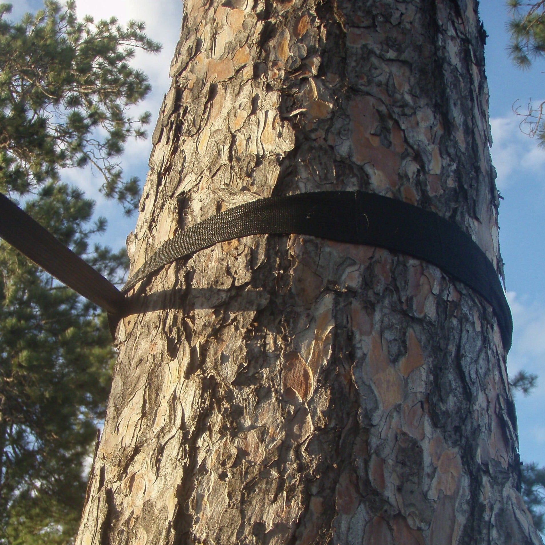 Eco-Friendly Tree Straps - 2 Pack – Vivere USA