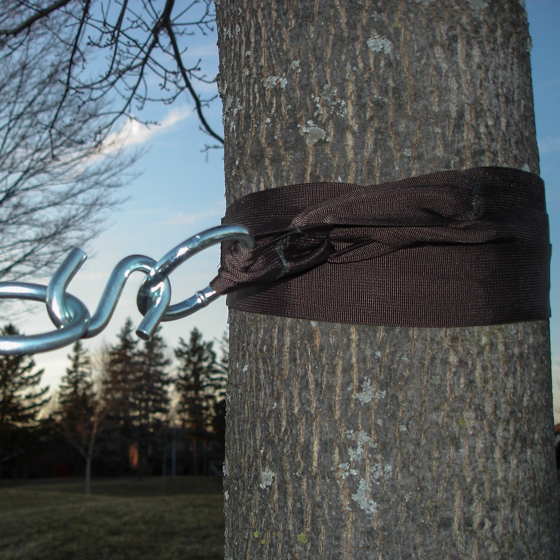 Eco-Friendly Tree Straps - 2 Pack – Vivere USA